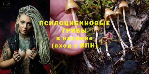 гидра Навашино