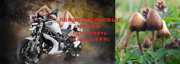 марки lsd Нефтекумск