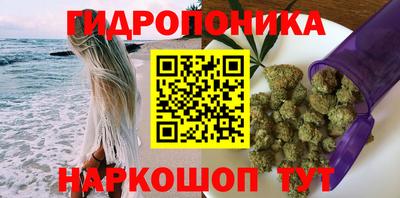 амф Гусь-Хрустальный