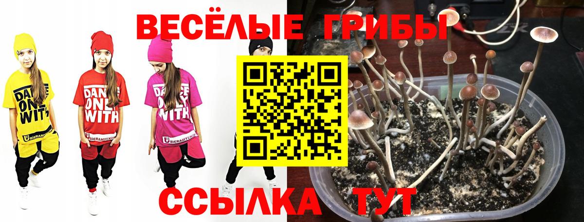 Ливны  Галлюциногенные грибы Psilocybe  Псилоцибиновые грибы Psilocybine cubensis  Вход с VPN 