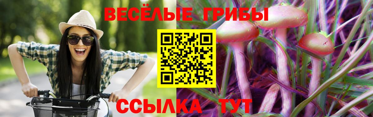 Галлюциногенные грибы GOLDEN TEACHER Ливны
