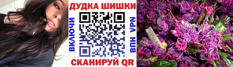 Конопля семена  купить наркоту  Ливны 